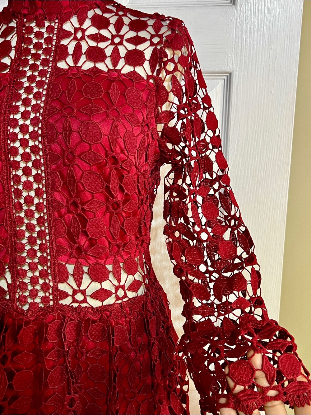 Eilly Bazar Wms Wine Lace Embroidery Cutout Inset Sheer Fit&Flare Mini Dress M - Picture 5 of 15